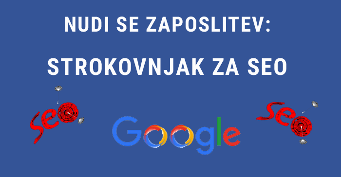 seo strokovnjak